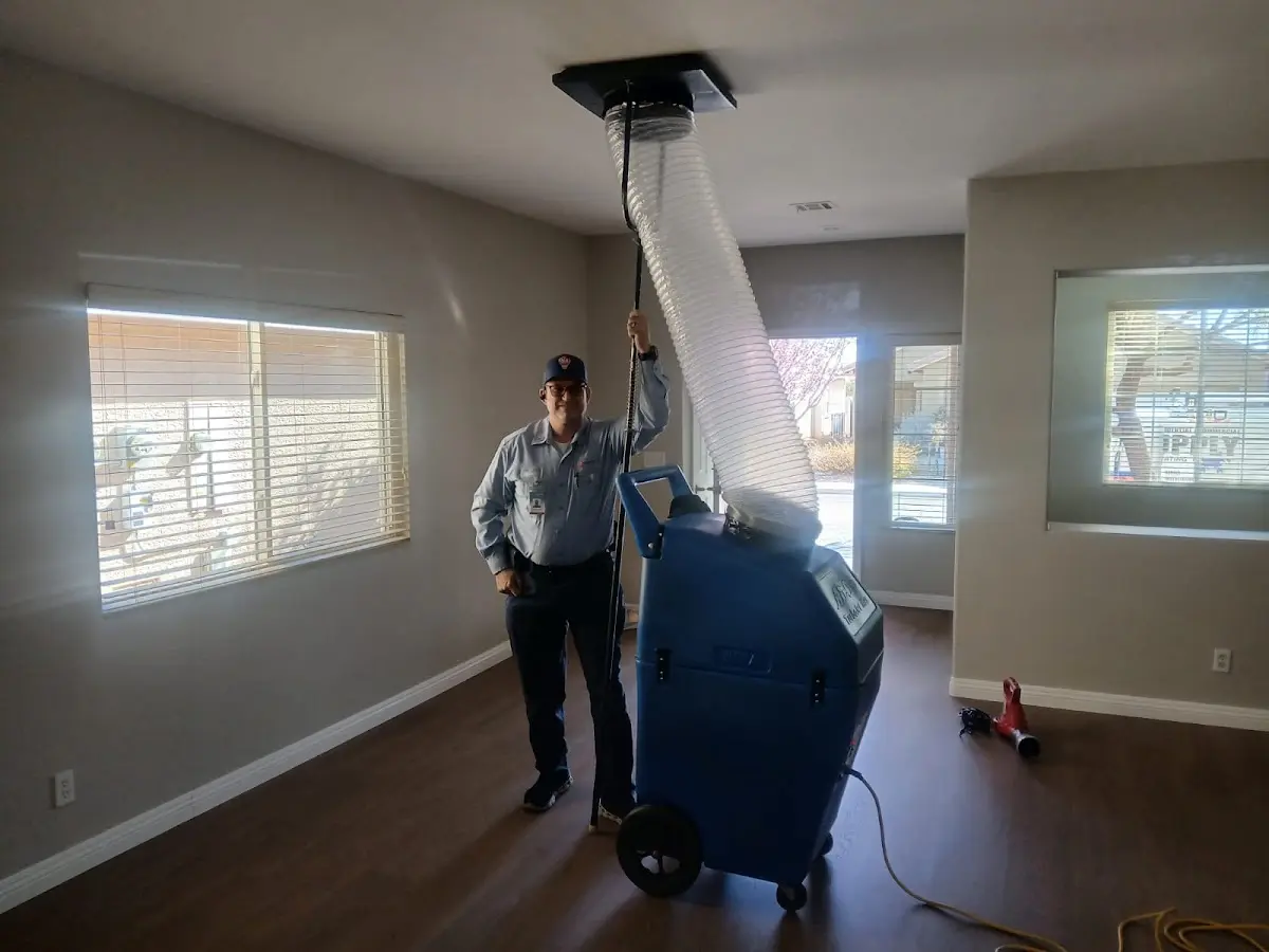 Professional Dryer Vent Cleaning work inside a Bloomfield home